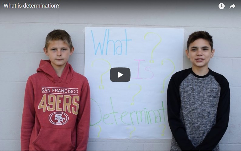 What is determination?
